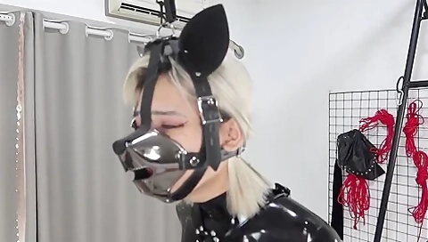 Jiojio Latex Dog