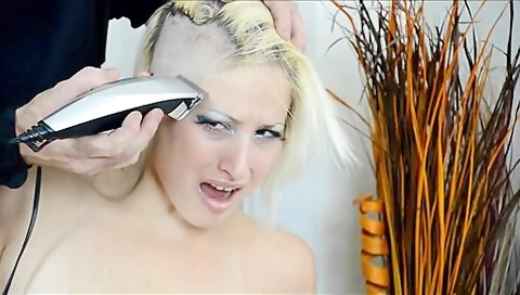 Slave Shaved Bald