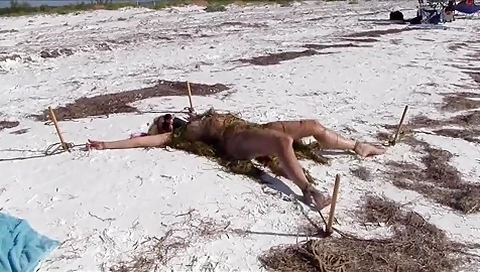 Tanning On The Beach
