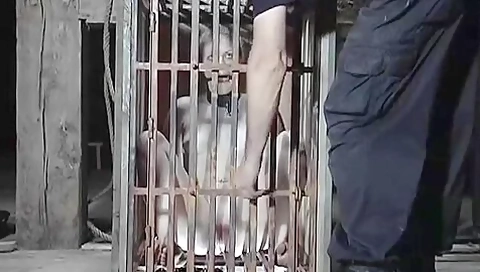 Caged Cumslut Featuring Melody ( )