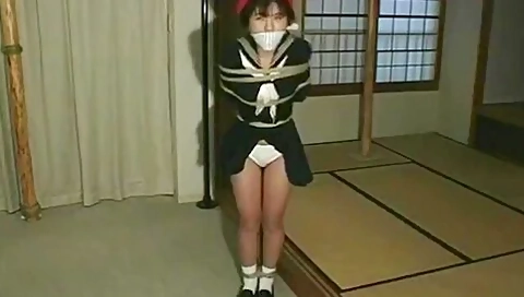 Japanese Bondage Model