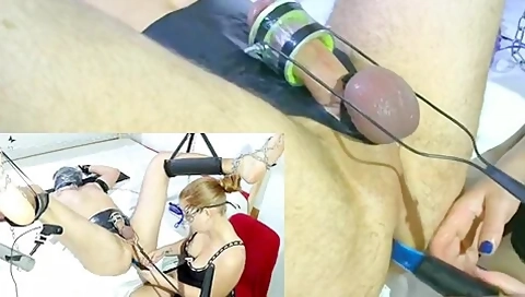 Cock Machine Milking