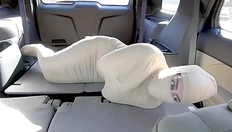 Wrapped Up And Transported