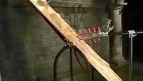 Vacbed And Tongue Machine