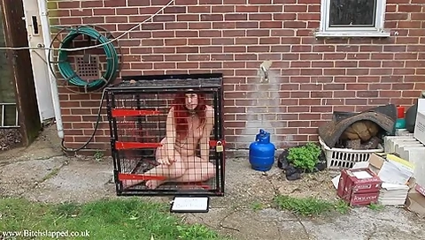 Caged Outside
