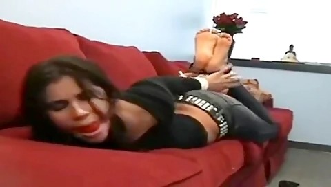 Hogtie #3
