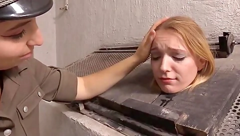 Prisoner Boxed